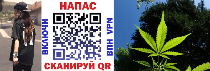 магазин продажи наркотиков  Елизово  Канабис Amnesia 